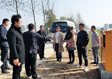 項目效果
